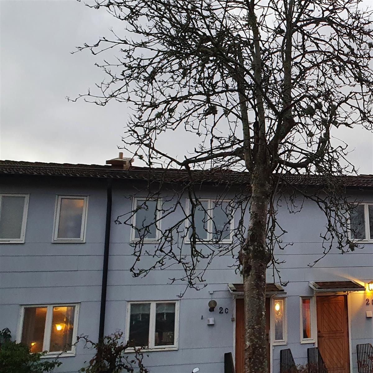 takrenovering-brf-larktradet-3