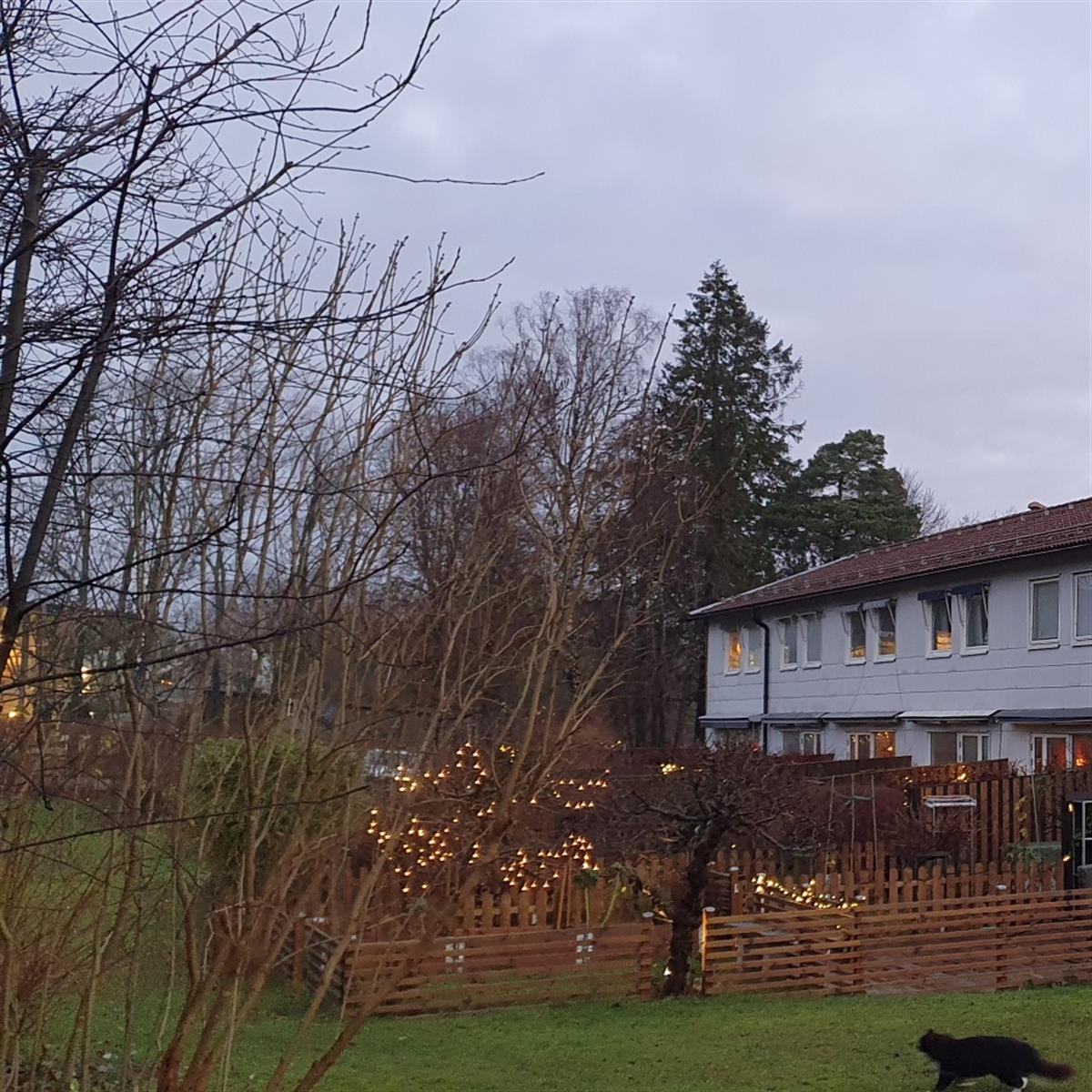 takrenovering-brf-larktradet